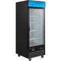 Nexel&#174; Merchandiser Freezer, Glass Door, 23 Cu. Ft., Black
