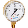 Global Industrial 2-1/2&quot; Compressed Gas Gauge, 30 PSI, 1/4&quot; NPT LM, Polished Brass