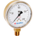 Global Industrial 2-1/2&quot; Compressed Gas Gauge, 200 PSI, 1/4&quot; NPT LM, Polished Brass