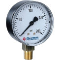 Global Industrial 2&quot; Pressure Gauge, 15 PSI, 1/4&quot; NPT LM, Steel