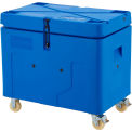 Global Industrial 11 Cu Ft Dry Ice Storage Container with Lid & Casters, 43&quot;L x 27-1/2&quot;W x 39-1/2&quot;H