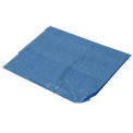 Blue Tarp 2.9 OZ, 10'x12'