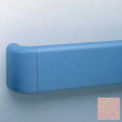 Heavy-Duty 5.5&quot; Face Handrail/Wall Guard, 12' Long, Dawn