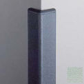 Corner Guard 90°, 2'' Wings, 12'H With Caps, Sea Foam