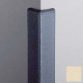 Corner Guard 90&#176;, 2'' Wings, 12'H With Caps, Champagne
