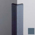 Corner Guard 90&#176;, 2'' Wings, 12'H W/Caps, Windsor BL
