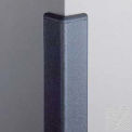 Corner Guard 90&#176;, 2'' Wings, 8'H W/Caps, Silver Gray