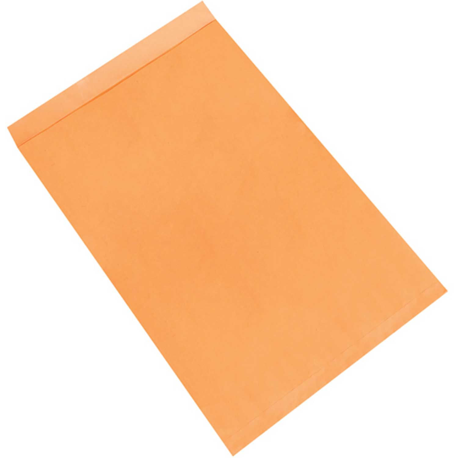 Kraft Jumbo Envelopes, 24" x 36", 100 Pack, EN1088 841436091749 eBay