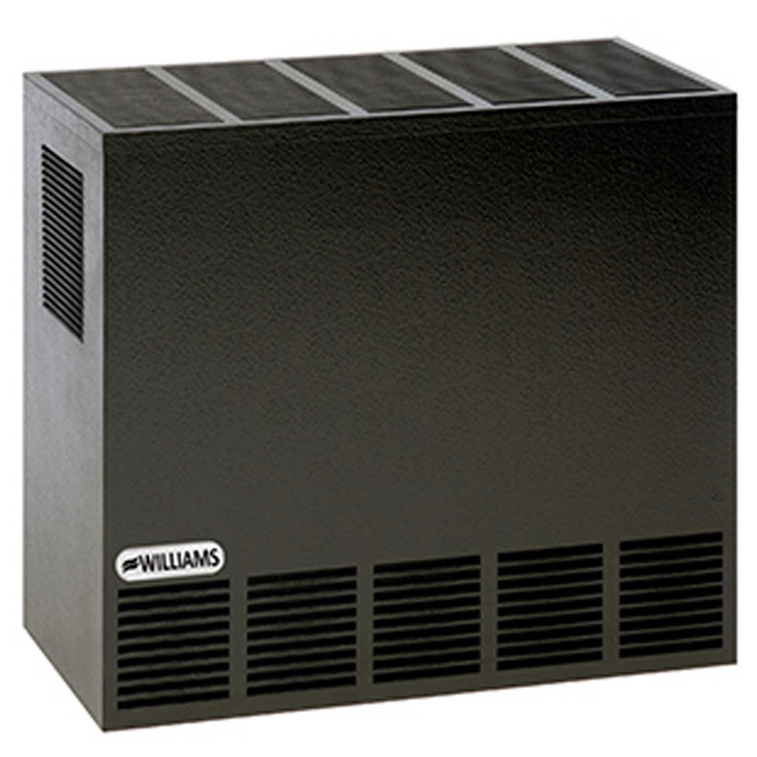 Williams Enclosed Front Room Heater Propane 20000 BTU 93909002404 eBay