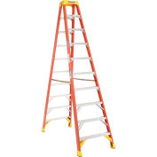 Werner T6210 10' Dual Access Fiberglass Step Ladder 300 lb. Cap