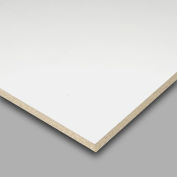 60 x 24 Laminate Shelf for Easy Adjust Boltless Shelf Trucks