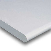 Workbench Top - Plastic Laminate Safety Edge, Light Gray, 72" W x 36" D x 1-5/8" Thick