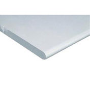 Workbench Top - ESD Safety Edge, White, 48" W x 30" D x 1-1/4" Thick