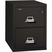 Fireking Fireproof 2 Drawer Vertical File Cabinet 2-1831C, Letter Size, 18"W x 31-1/2"D x 28"H