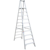 Werner 10' Type 1AA Aluminum Platform Ladder