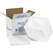 8" x 6" x 9" Insulated Shipping Kit