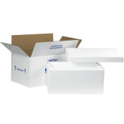 17" x 10" x 8-1/4" Insulated Shipping Kit
