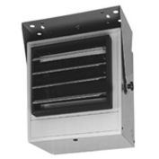 TPI Multi-Watt Fan Forced Unit Heater, 240/208V 1 PH