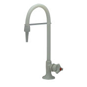 Zurn Wall Mounted Single Lab Faucet For Dw/Di/Ro Water, Z82900-WM