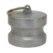 BE Pressure 90.397.200, 2" Aluminum Camlock Fitting, Dust Plug Thread