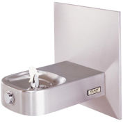 Elkay Slimline Child ADA Water Fountain, Stainless Steel, ECDFPW314C, Access Panel, Wall Hung