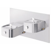 Elkay Soft Sides ADA Water Fountain 2 Station, Cane Apron, Stainless Steel,Wall Hung, EDFP217RAC