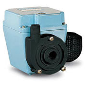 Little Giant 503603  Small Submersible Pump 3E-34N Series Dual Purpose