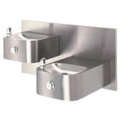 Barrier-Free "Hi-Lo" Wall Mounted 18G SS Drinking Fountain with Back Panel
