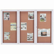 Aarco 3 Door Framed Enclosed Bulletin Board - 72"W x 48"H
