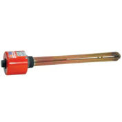 Tempco Brass/Copper Immersion Heater, 2" NPT 8"D 2000W 240V T-Stat