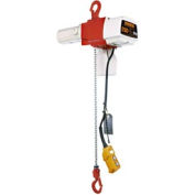 ED Dual Speed Electric Chain Hoist - 525 lbs, 120V, 44/10 ft/min, 10' Lift