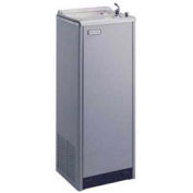 Economy Free-Standing Cooler, S300-2E-Q (PV)