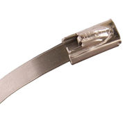 6" Cable Tie, 100# Stainless Steel - 10 pk.