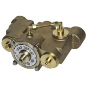 Haws 78 GPM Lead Free Thermostatic Emergency Mixing Valve