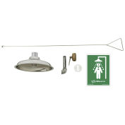Haws 8163 Concealed Ceiling Supply Drench Shower SS Showerhead And Extra Long Pull Rod