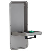Haws 7656WCC Barrier-Free Recessed Wall-Mounted Pull Down Eye/Face Wash W/ Containment Tray