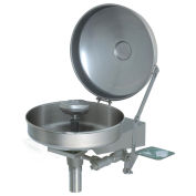 Haws Stainless Steel, Wall-Mounted Eye/Face Wash Axion MSR