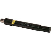 Buyers Products 1304210 Cylinder, Lift, 1-1/2X 6In Black, Replaces Western #25200