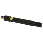 Buyers Products 1304700 Cylinder, Angle, 1-1/2 X 10In, Replaces Boss #HYD01603