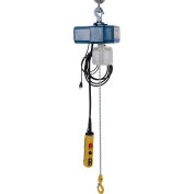 Vestil 250 Lb. Capacity Variable Speed Electric Chain Hoist