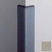 Corner Guard 90°, 2'' Wings, 12'H With Caps, Chinchilla