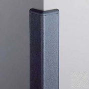 Corner Guard 90°, 2'' Wings, 8'H With Caps, Silver Gray
