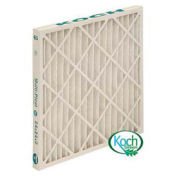 Koch™ Filter 102-714-030 High Capacity Ext Surface Multi-Pleat Green 20W x 25H x 4D, Merv 13 - Pkg Qty 6