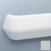 Flex-Action Triangular Handrail/Wall Guard, 5 3/8" Face, 12' Long, Silver Gy