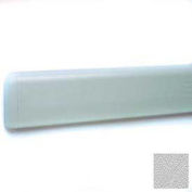 Wall Guard W/Rounded Top Edge, 4"H x 12'L, Silver Gray