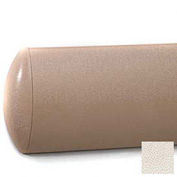 Crescent Series Wall Guard W/Rec. Plastic Clip Retainer System, 5"H x 12'L, Pumice