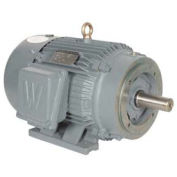 Worldwide Electric T-Frame Motor PEWWE125-18-444TC-F2, TEFC, GP, 3 PH, Rigid, F2, 444TC, 144 FLA