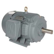 Worldwide Electric T-Frame Motor PEWWE150-12-445/7T-F2, TEFC, GP, 3 PH, Rigid, F2, 445/7T, RB