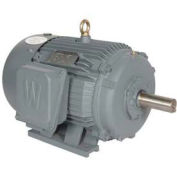 Worldwide Electric T-Frame Motor PEWWE75-12-405T-F2, TEFC, GP, 3 PH, Rigid, F2, 405T, 92 FLA, RB