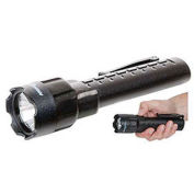 Safety-Approved LED Flashlight, 120 Lumens, Black